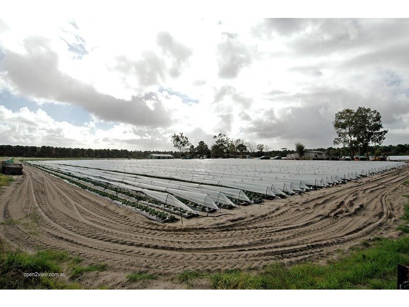 297 Carabooda Road, Carabooda WA 6033