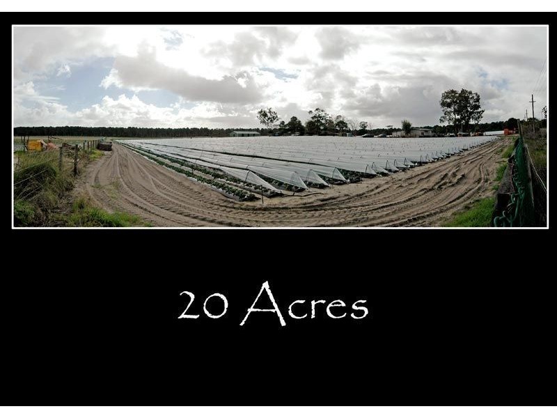 297 Carabooda Road, Carabooda WA 6033