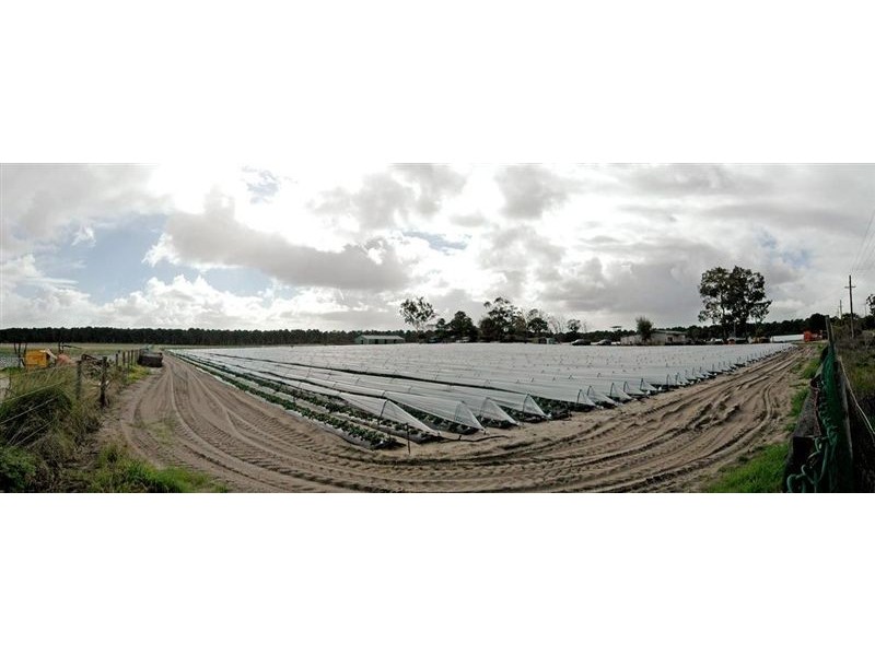 297 Carabooda Road, Carabooda WA 6033