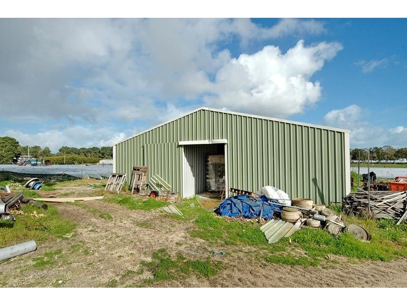 297 Carabooda Road, Carabooda WA 6033