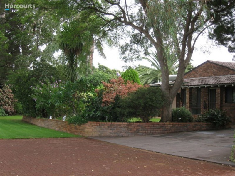 97 Carabooda Road, Carabooda WA 6033