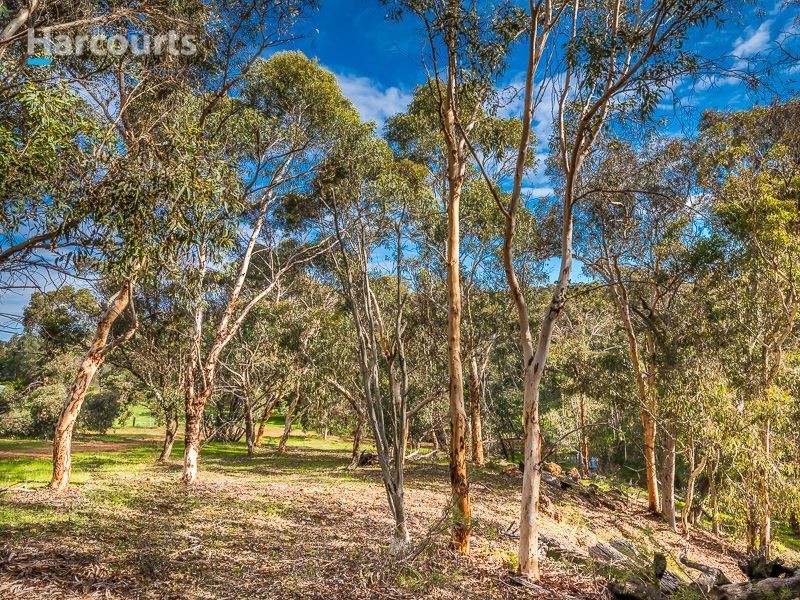 77 Morley Road, Lower Chittering WA 6084