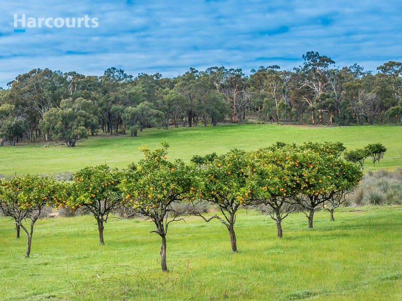 293 Morley Road, Lower Chittering WA 6084