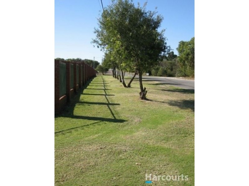 65 Lorian Road, Gnangara WA 6077