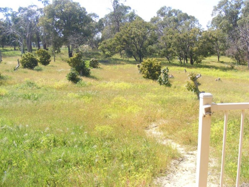 70 Bailey Road, Carabooda WA 6033