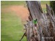 Prop Lot/19 Guernsey Rise, Lower Chittering WA 6084