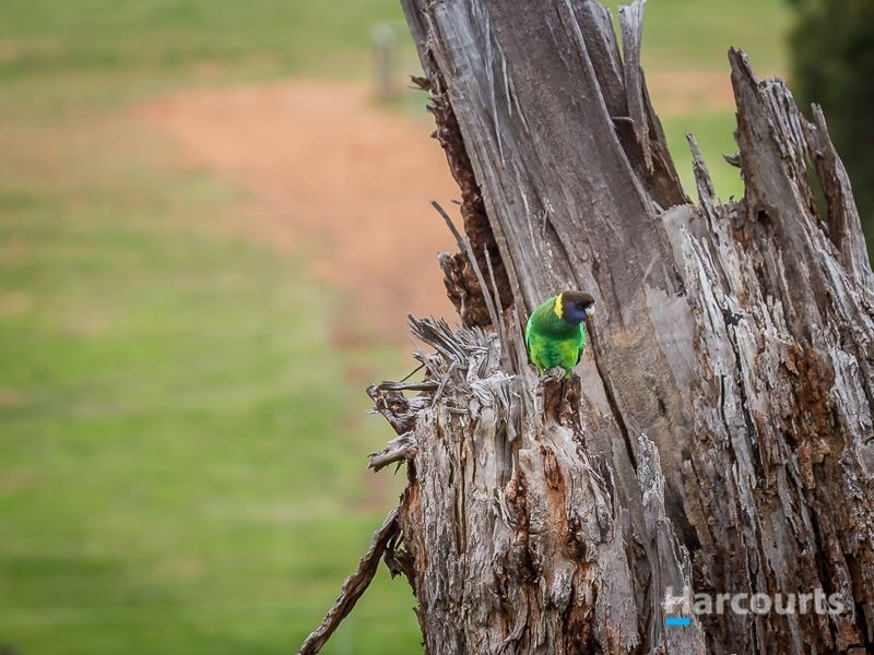 Prop Lot/19 Guernsey Rise, Lower Chittering WA 6084