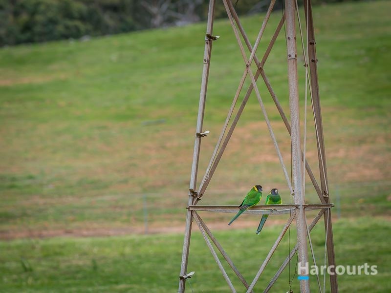 Prop Lot/19 Guernsey Rise, Lower Chittering WA 6084