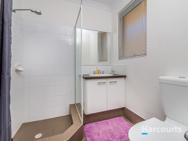 11 Dekalb Link, Clarkson WA 6030