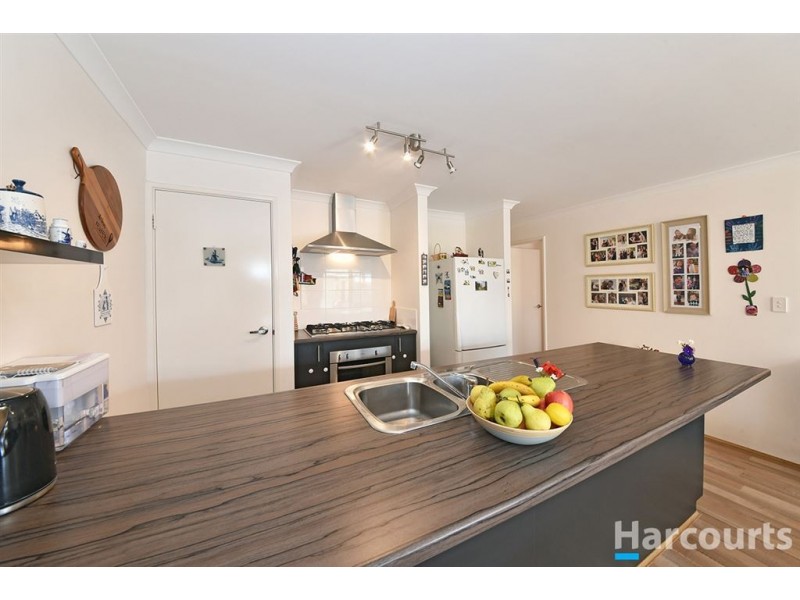 71 Cuddlepie Turn, Banksia Grove WA 6031