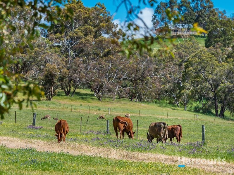 179 Clarkson Road, Bullsbrook WA 6084
