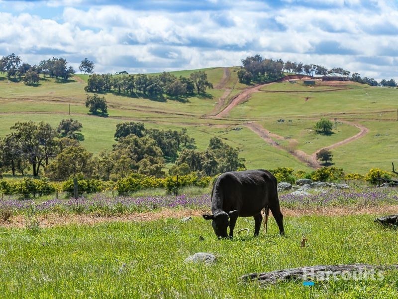 179 Clarkson Road, Bullsbrook WA 6084