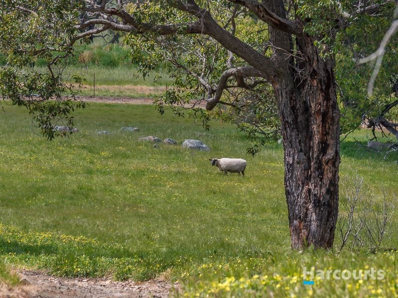 179 Clarkson Road, Bullsbrook WA 6084