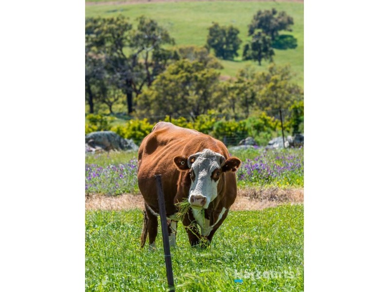 179 Clarkson Road, Bullsbrook WA 6084