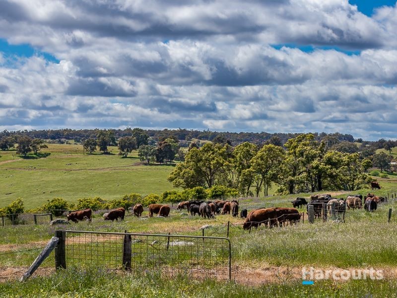 179 Clarkson Road, Bullsbrook WA 6084