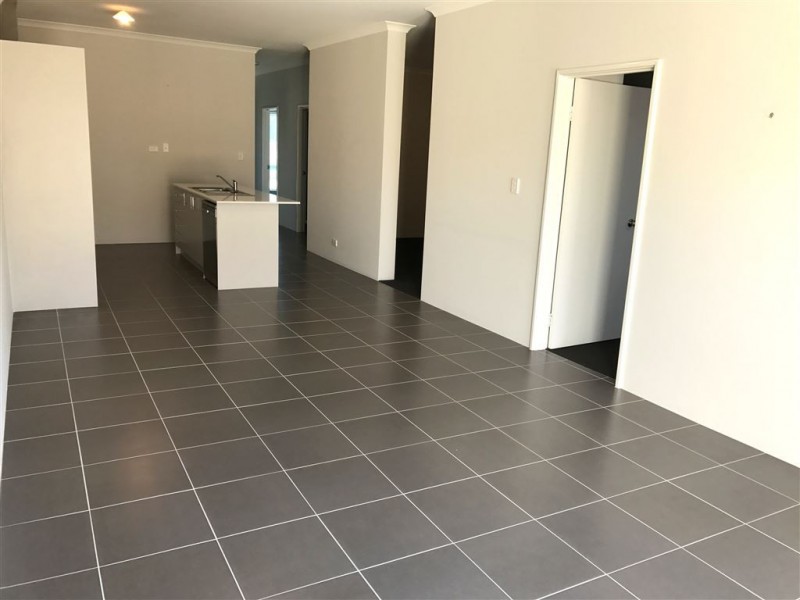 33 Hollyford Parade, Butler WA 6036