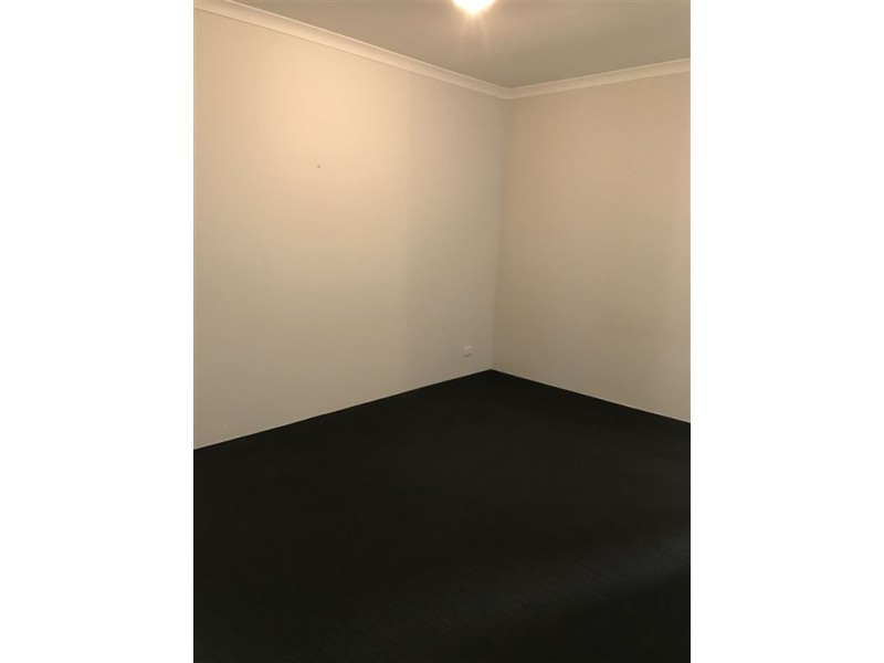 33 Hollyford Parade, Butler WA 6036