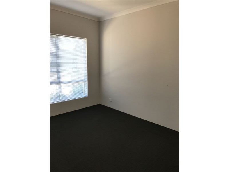 33 Hollyford Parade, Butler WA 6036