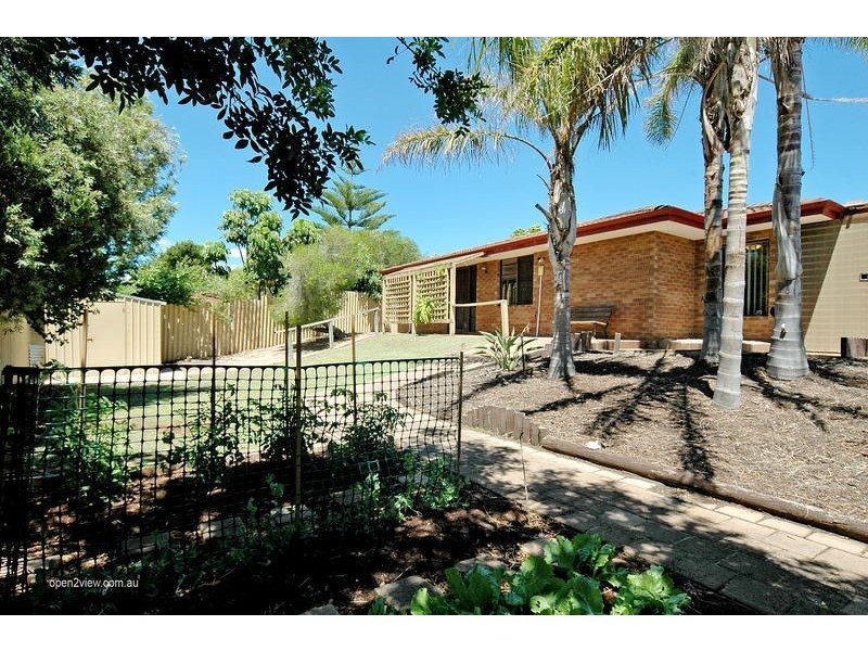 19 Wisteria Parade, Edgewater WA 6027
