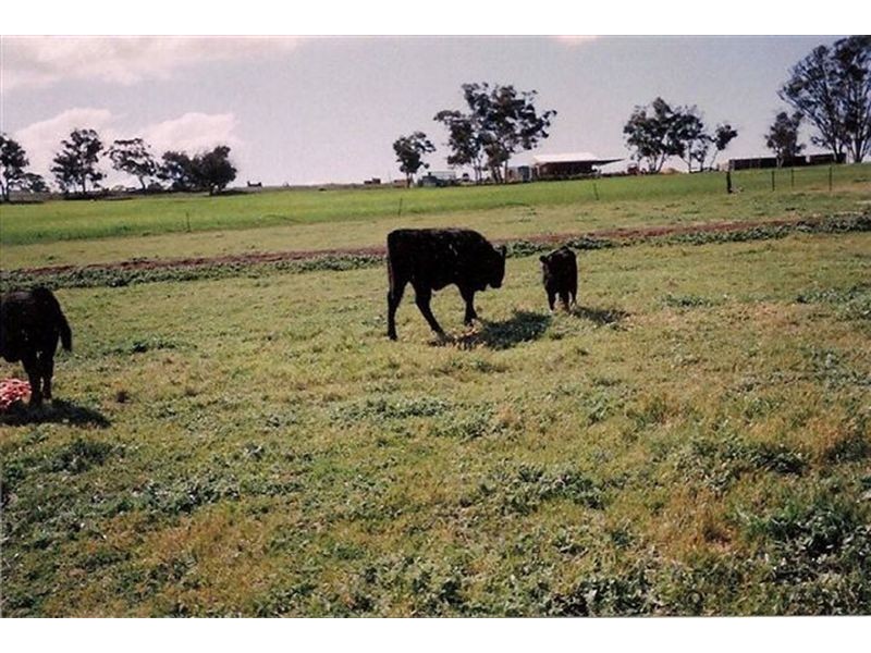 3 Bunmulling Road, Popanyinning WA 6309