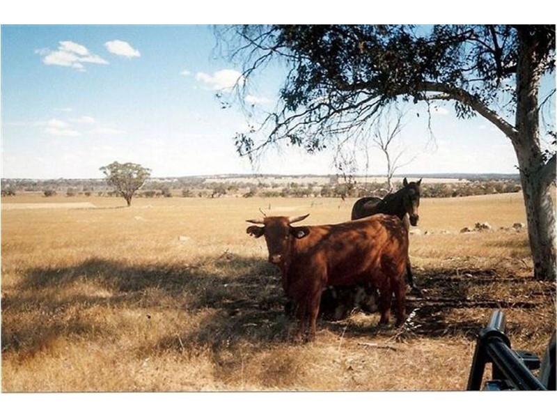 3 Bunmulling Road, Popanyinning WA 6309