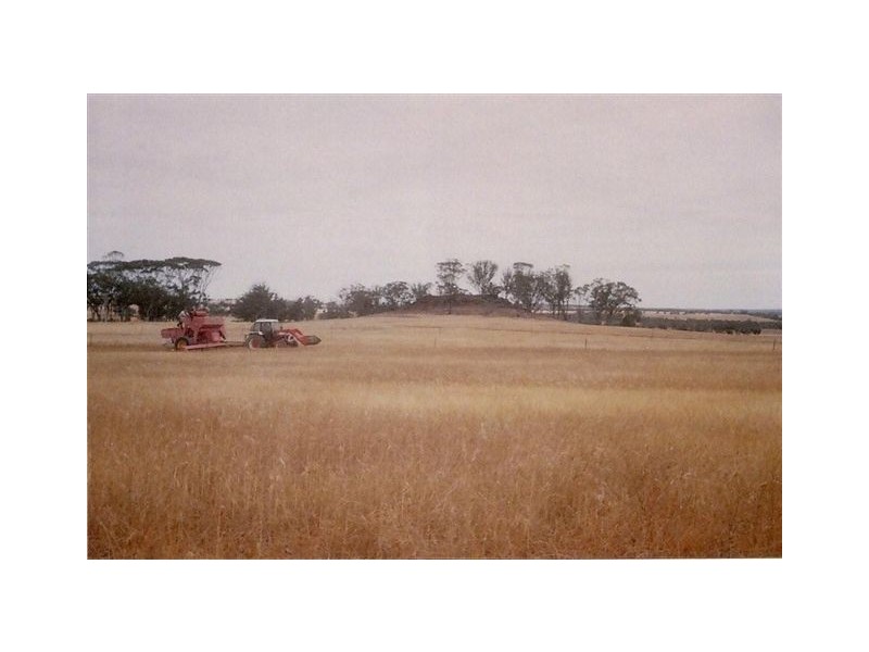 3 Bunmulling Road, Popanyinning WA 6309