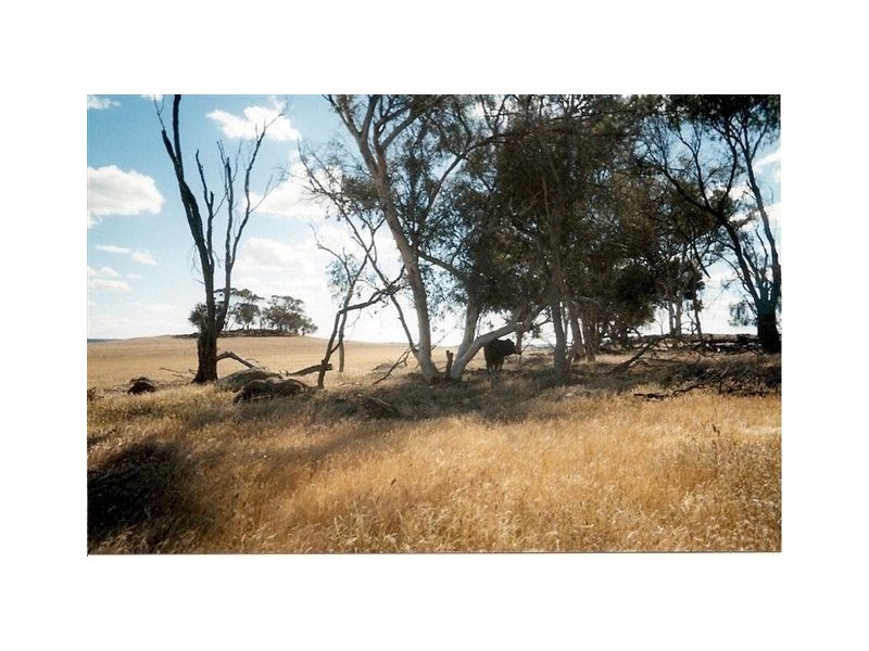 3 Bunmulling Road, Popanyinning WA 6309