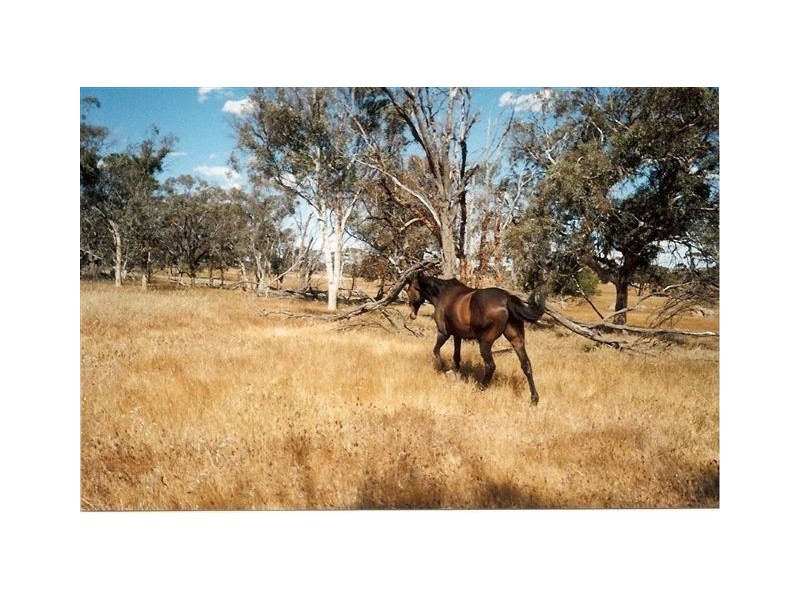 3 Bunmulling Road, Popanyinning WA 6309