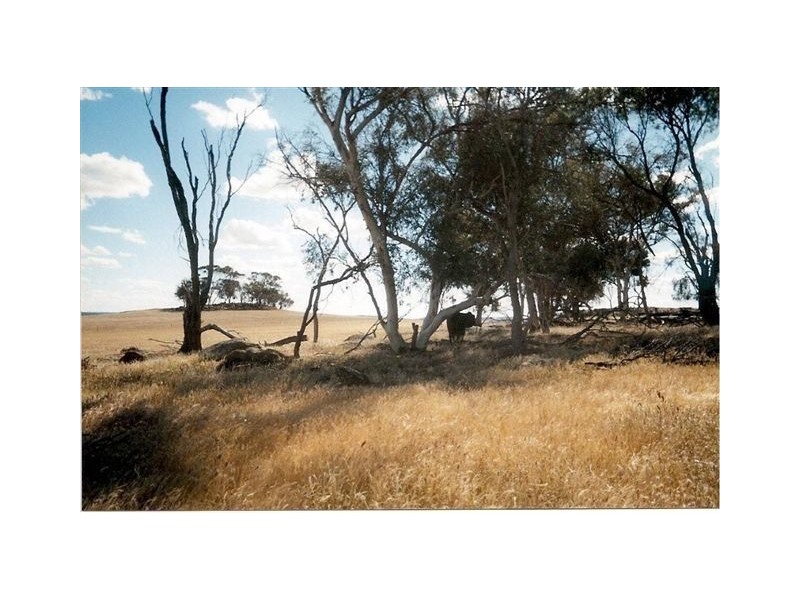 3 Bunmulling Road, Popanyinning WA 6309