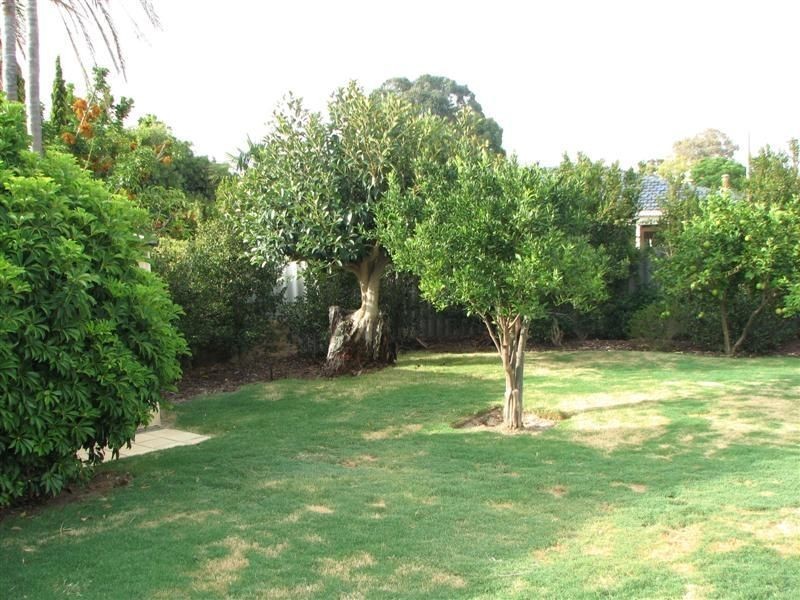 59 Eglinton Crescent, Hamersley WA 6022