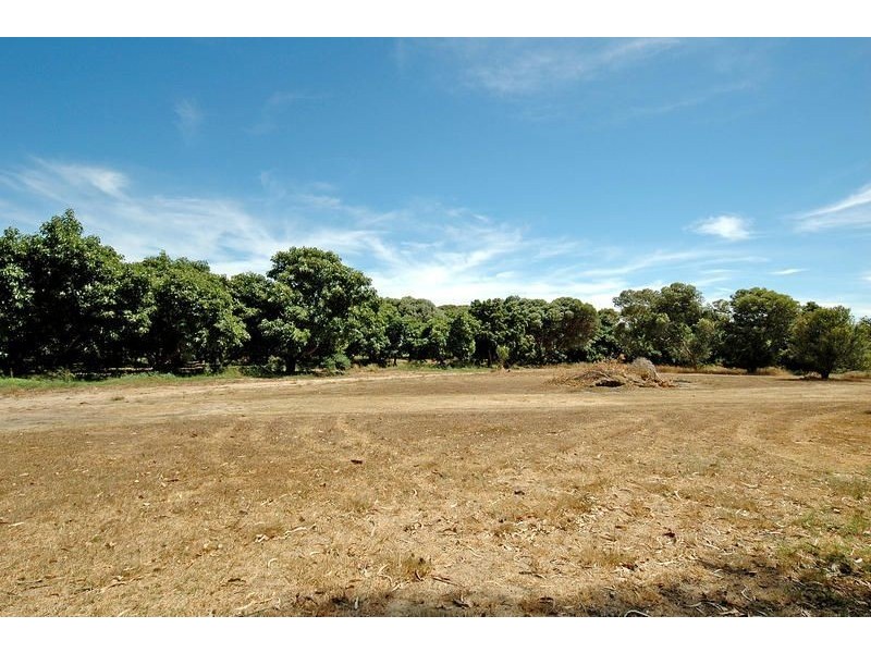 93 Safari Place, Carabooda WA 6033