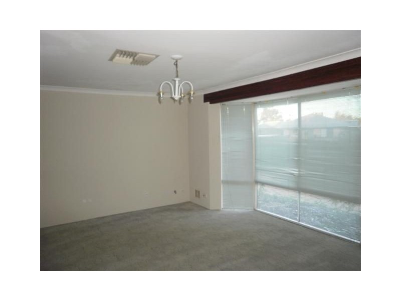 47 Frond Circuit, Banksia Grove WA 6031