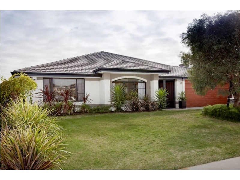 19 Ankuri Pass, Carramar WA 6031