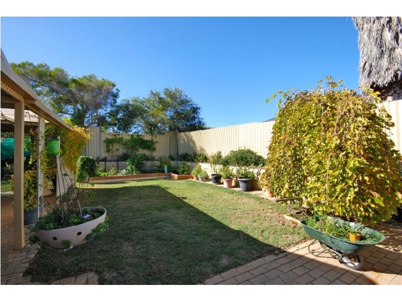 116 Chadstone Road, Craigie WA 6025