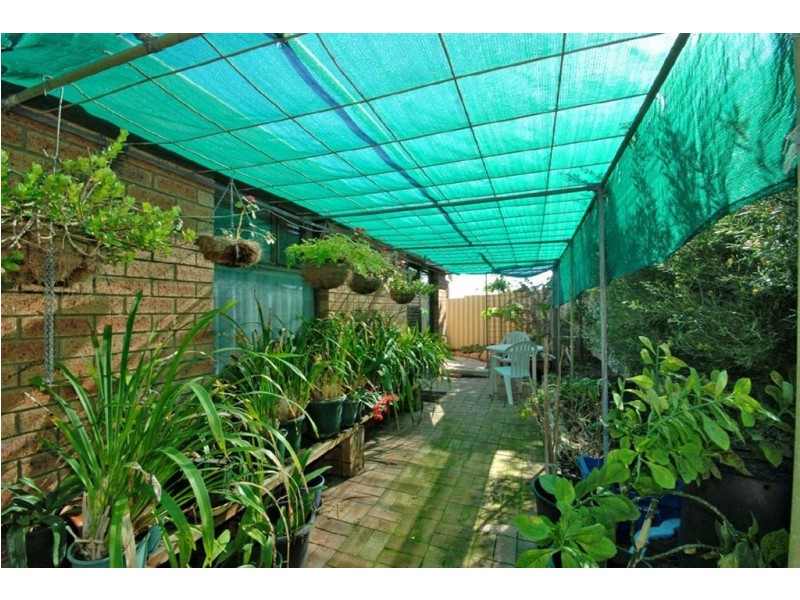 116 Chadstone Road, Craigie WA 6025