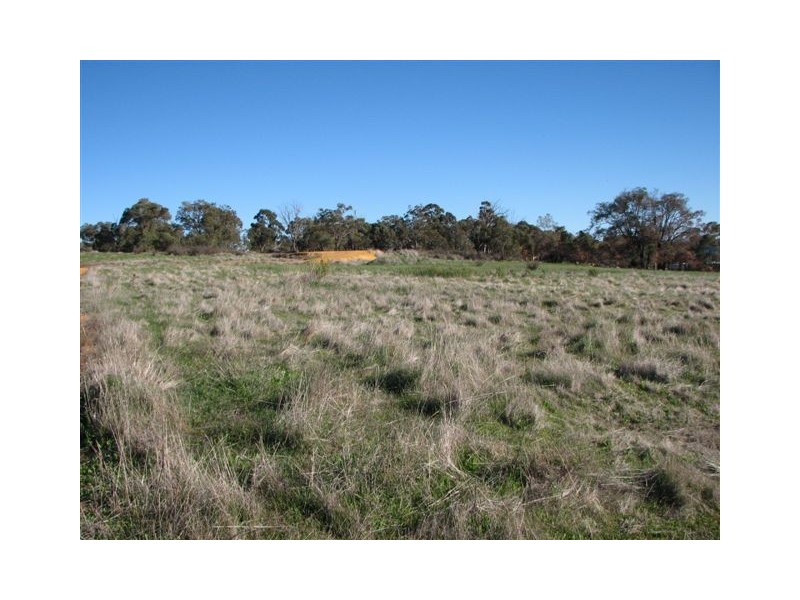 155 Alawoona Circle, Bullsbrook WA 6084