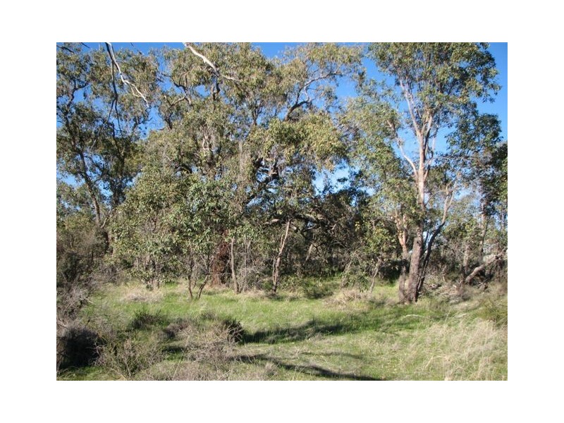 155 Alawoona Circle, Bullsbrook WA 6084