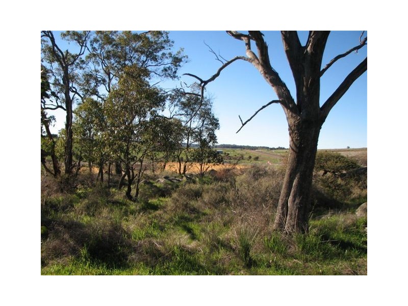 155 Alawoona Circle, Bullsbrook WA 6084