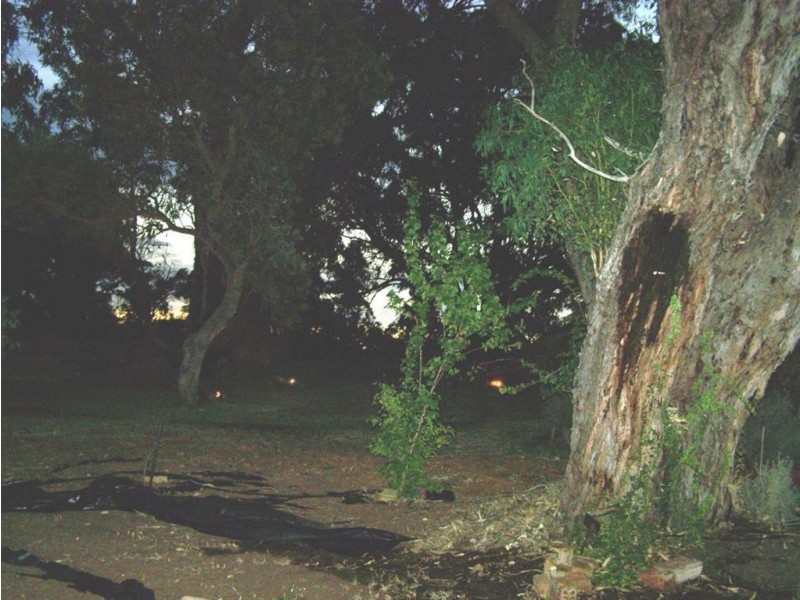 281 Countryside Drive, Two Rocks WA 6037