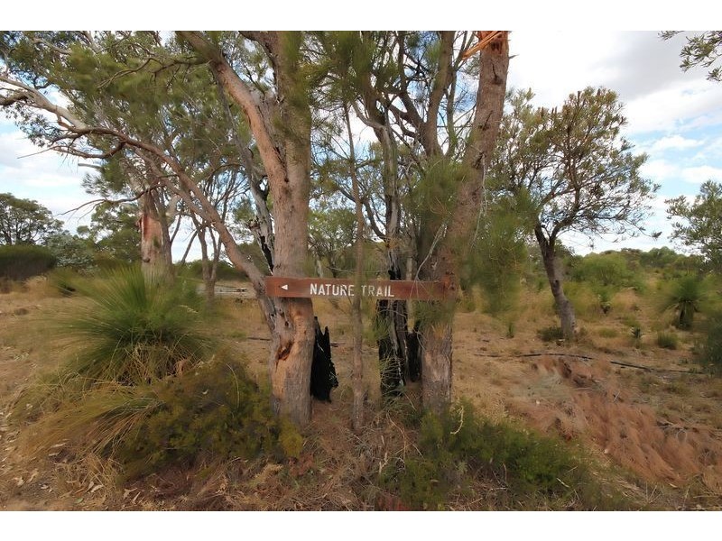 12 Pipidinny Road, Eglinton WA 6034