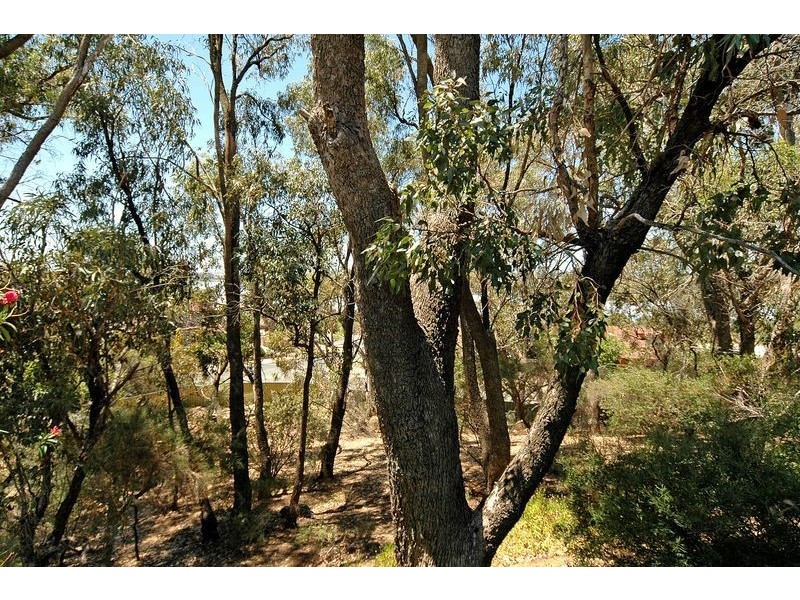 10 Reflection Close, Edgewater WA 6027