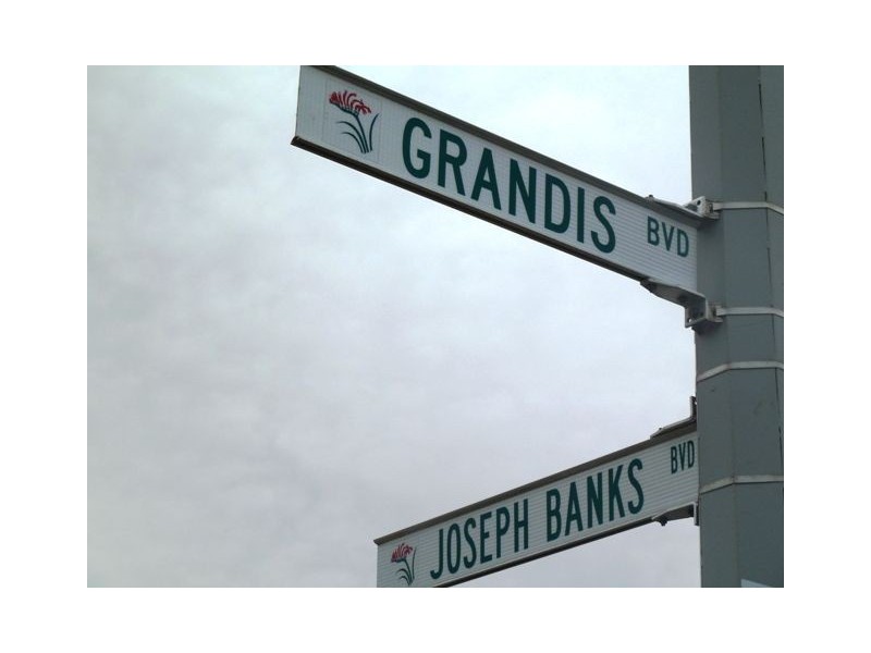 Lot 1/208 Grandis Boulevard, Banksia Grove WA 6031