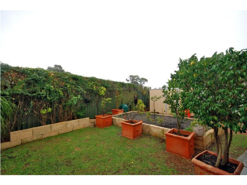 34B Macedon Place, Craigie WA 6025