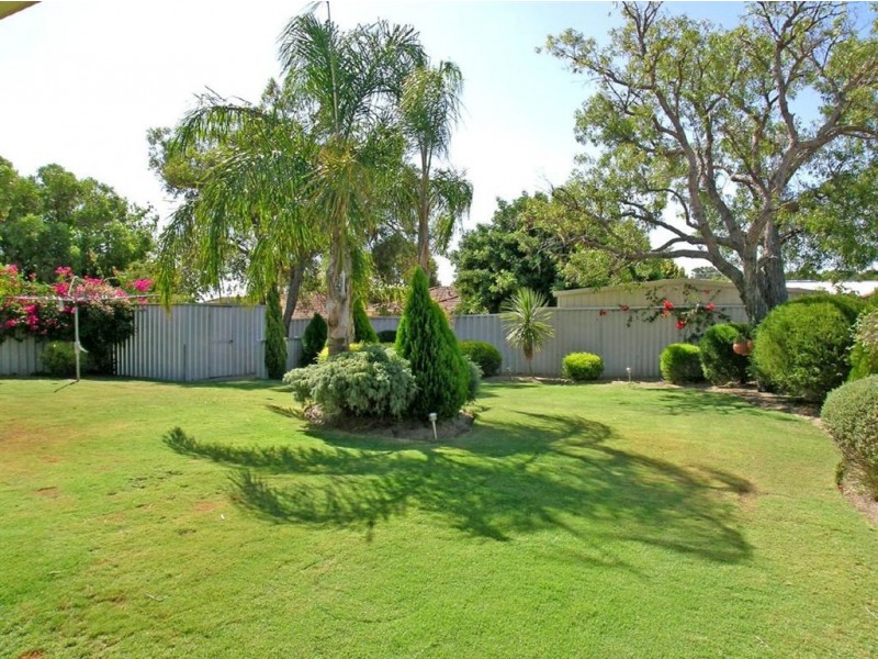 54 Cadoux Loop, Hocking WA 6065