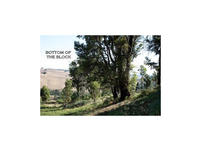 11 Riverview Close, Bridgetown WA 6255