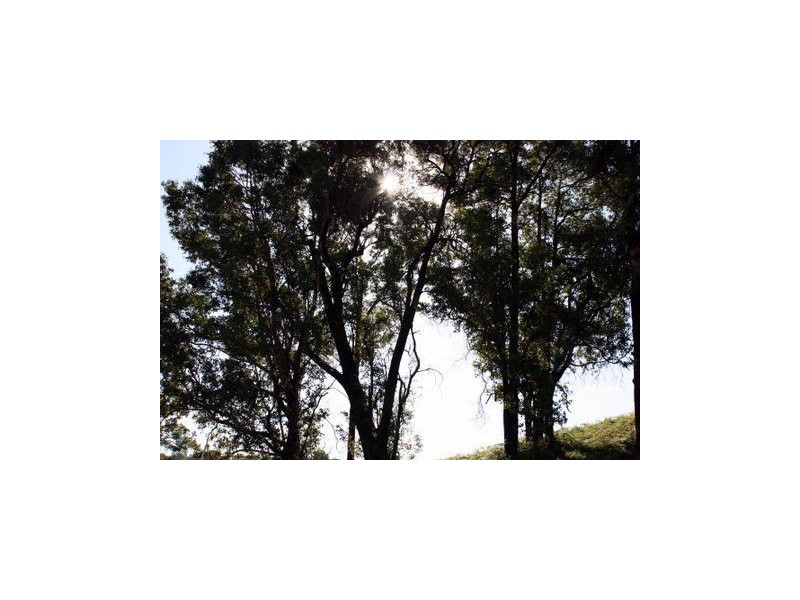 11 Riverview Close, Bridgetown WA 6255