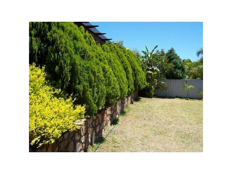 234 Eddystone Avenue, Beldon WA 6027