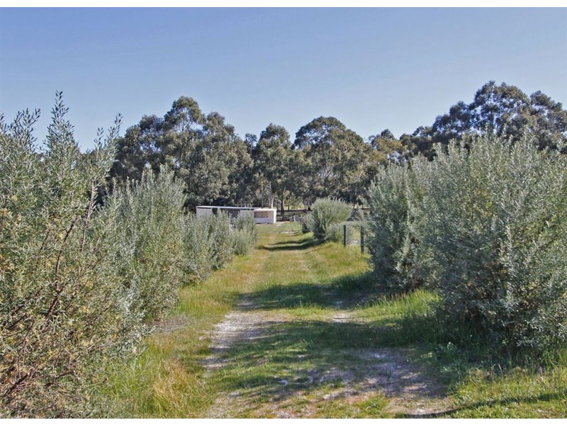 83 Santa Gertrudis Drive, Lower Chittering WA 6084