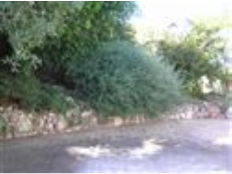 215 Dampier Avenue, Kallaroo WA 6025