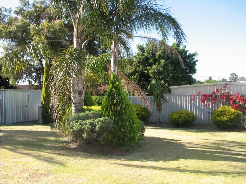 54 Cadoux Loop, Hocking WA 6065